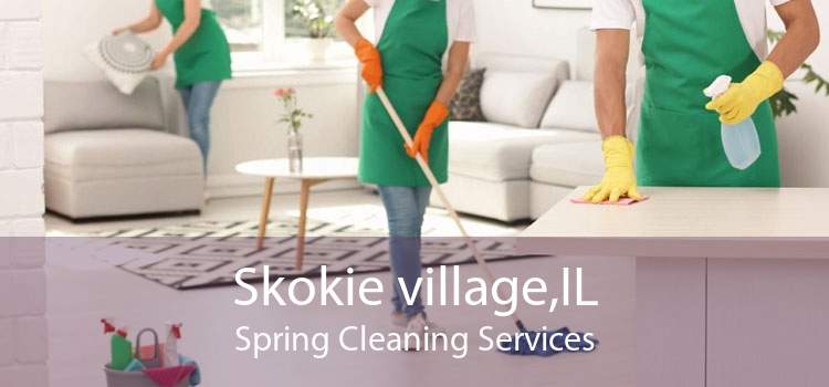 Skokie village,IL Spring Cleaning Services