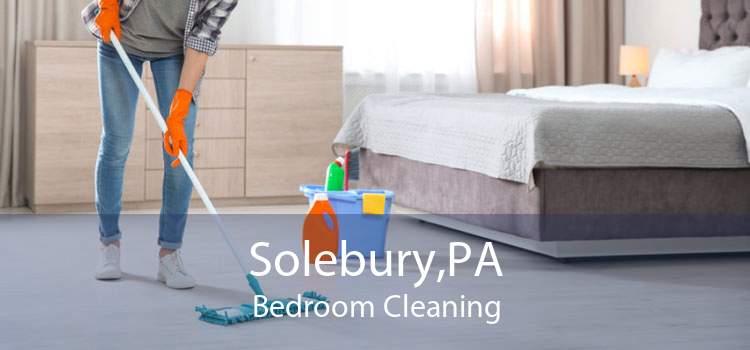 Solebury,PA Bedroom Cleaning