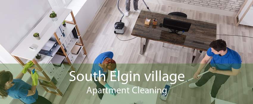South Elgin village Apartment Cleaning