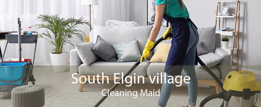 South Elgin village Cleaning Maid