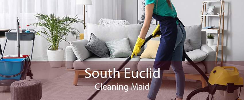 South Euclid Cleaning Maid