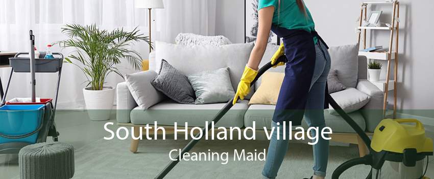 South Holland village Cleaning Maid