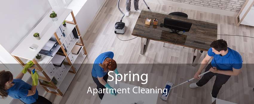 Spring Apartment Cleaning