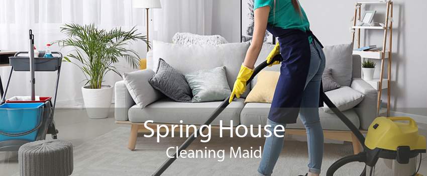 Spring House Cleaning Maid