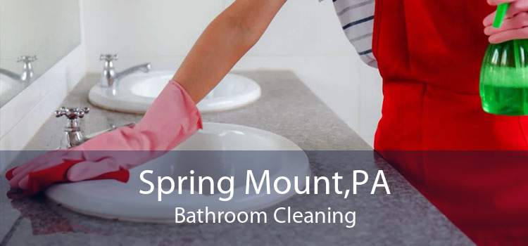 Spring Mount,PA Bathroom Cleaning