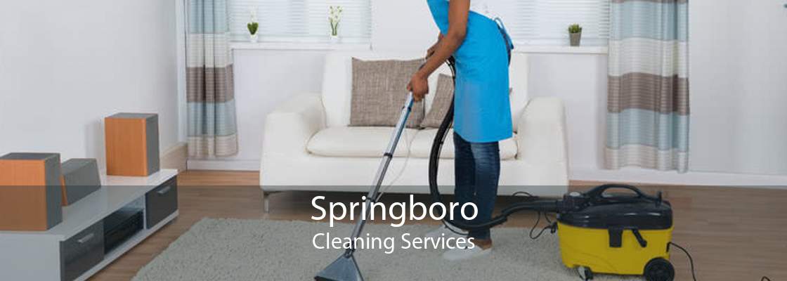 Springboro Cleaning Services