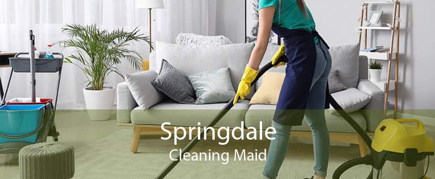 Springdale Cleaning Maid