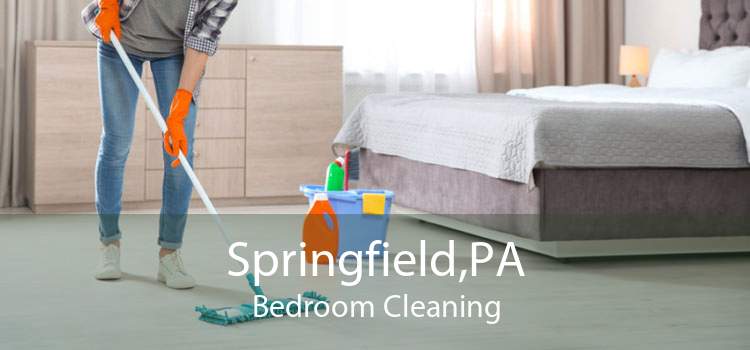 Springfield,PA Bedroom Cleaning