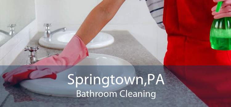 Springtown,PA Bathroom Cleaning