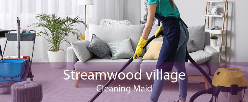 Streamwood village Cleaning Maid