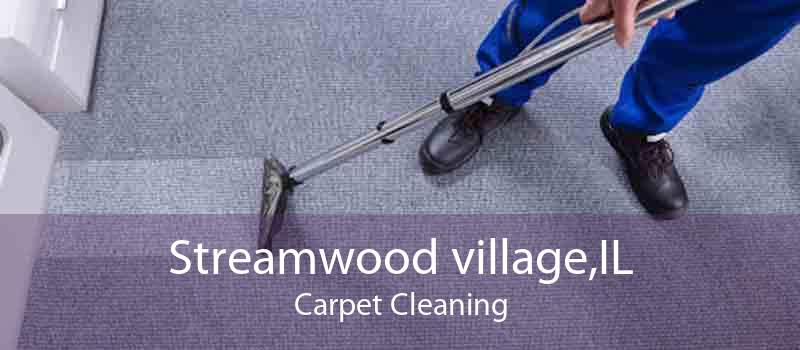 Streamwood village,IL Carpet Cleaning