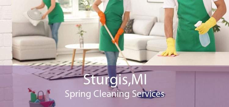 Sturgis,MI Spring Cleaning Services