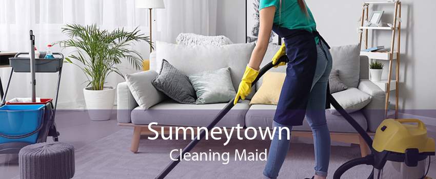 Sumneytown Cleaning Maid
