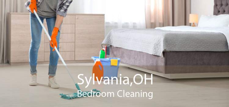 Sylvania,OH Bedroom Cleaning