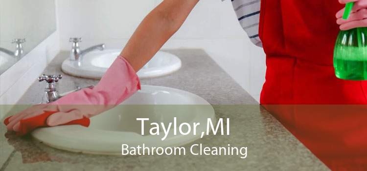Taylor,MI Bathroom Cleaning