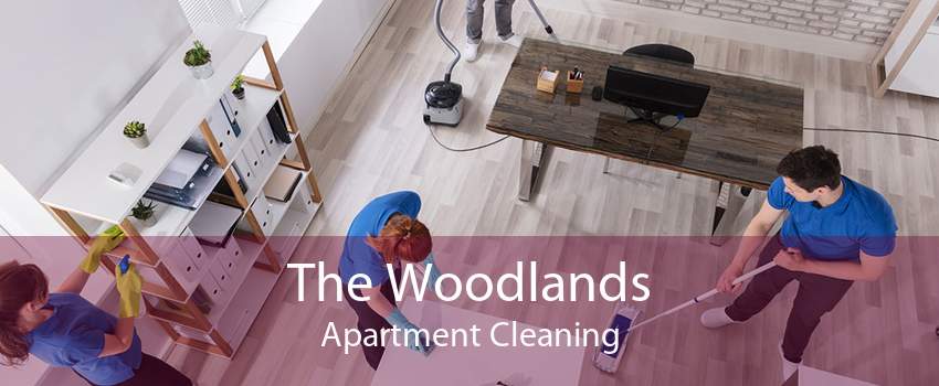 The Woodlands Apartment Cleaning