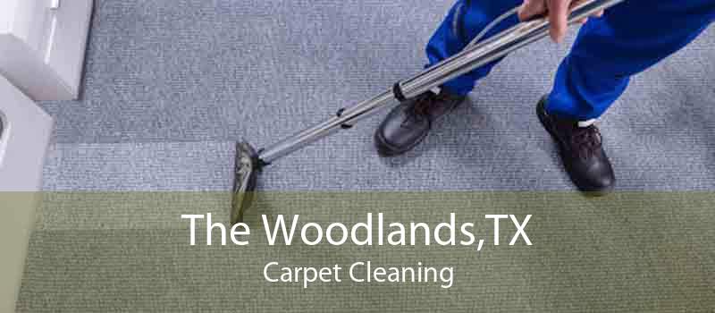 The Woodlands,TX Carpet Cleaning