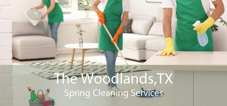 The Woodlands,TX Spring Cleaning Services
