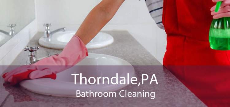 Thorndale,PA Bathroom Cleaning
