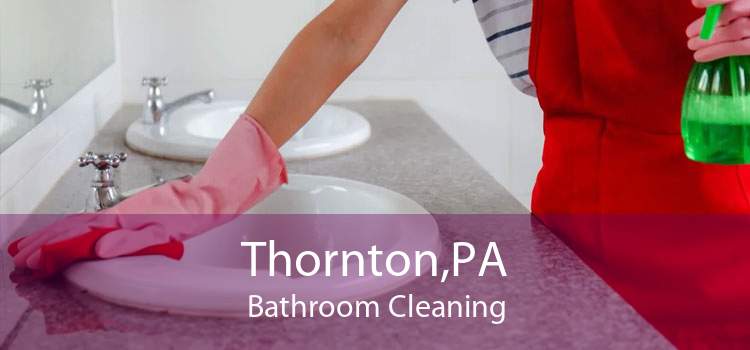 Thornton,PA Bathroom Cleaning