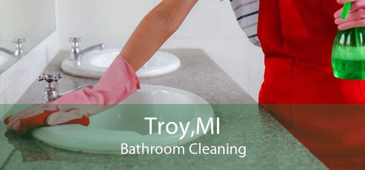 Troy,MI Bathroom Cleaning
