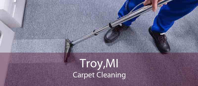 Troy,MI Carpet Cleaning
