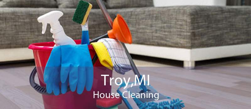 Troy,MI House Cleaning