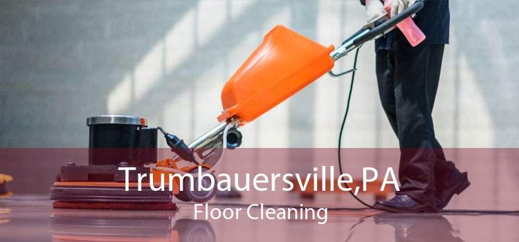 Trumbauersville,PA Floor Cleaning