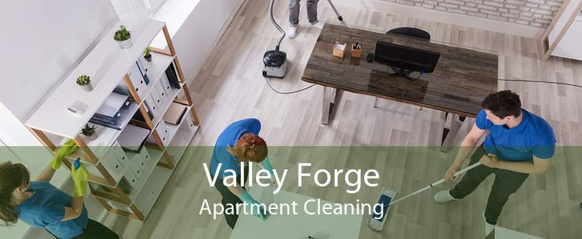 Valley Forge Apartment Cleaning
