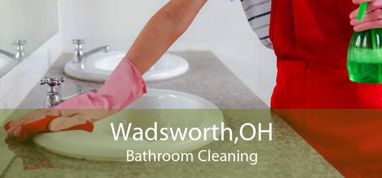 Wadsworth,OH Bathroom Cleaning