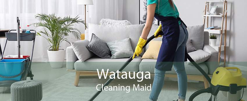 Watauga Cleaning Maid