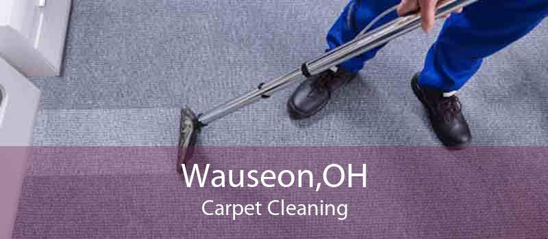 Wauseon,OH Carpet Cleaning
