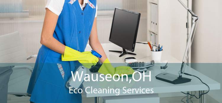 Wauseon,OH Eco Cleaning Services