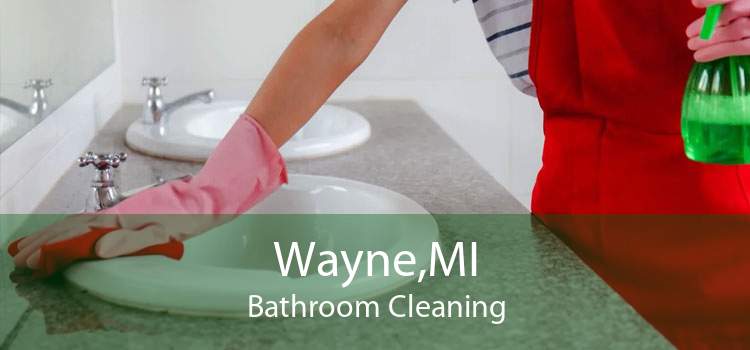Wayne,MI Bathroom Cleaning