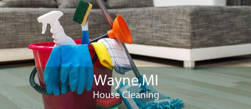 Wayne,MI House Cleaning