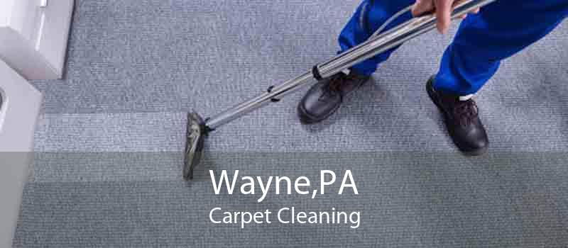 Wayne,PA Carpet Cleaning