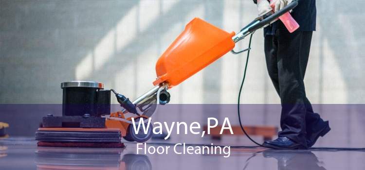 Wayne,PA Floor Cleaning