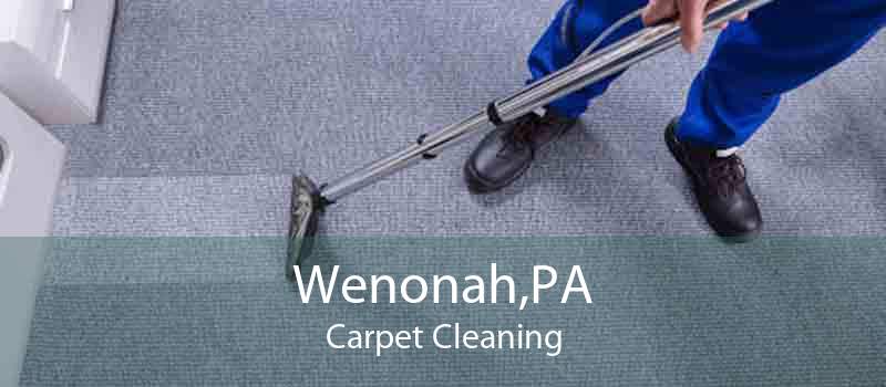Wenonah,PA Carpet Cleaning