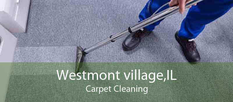 Westmont village,IL Carpet Cleaning