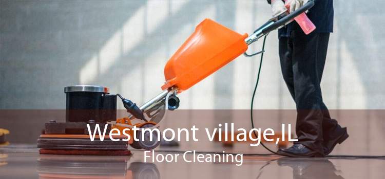 Westmont village,IL Floor Cleaning