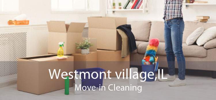 Westmont village,IL Move-in Cleaning