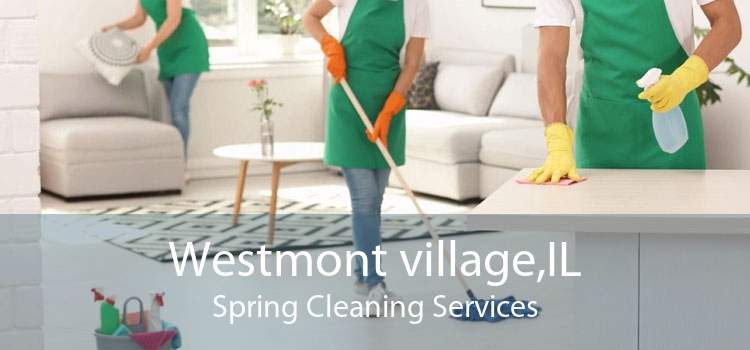 Westmont village,IL Spring Cleaning Services