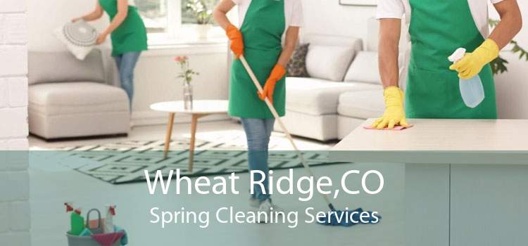 Wheat Ridge,CO Spring Cleaning Services