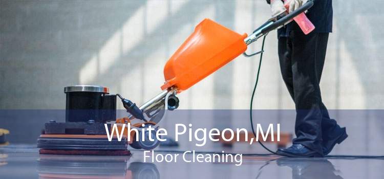 White Pigeon,MI Floor Cleaning