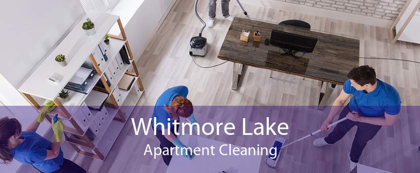Whitmore Lake Apartment Cleaning