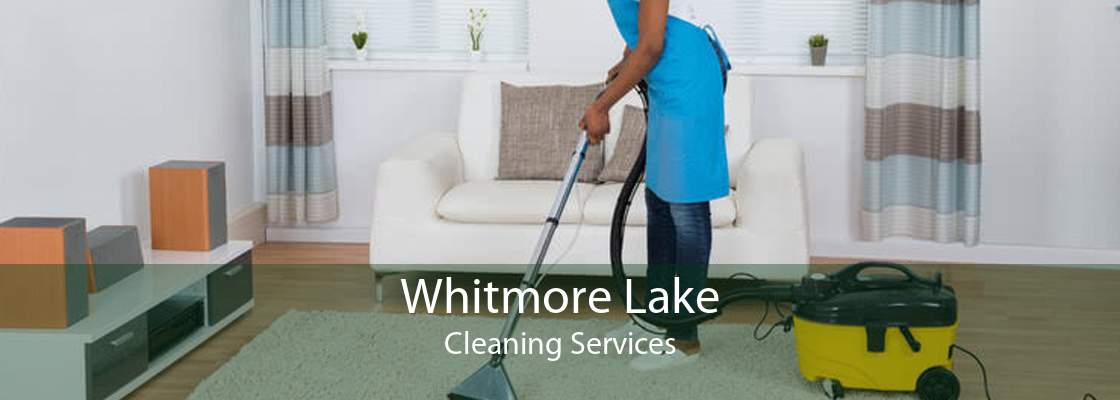 Whitmore Lake Cleaning Services