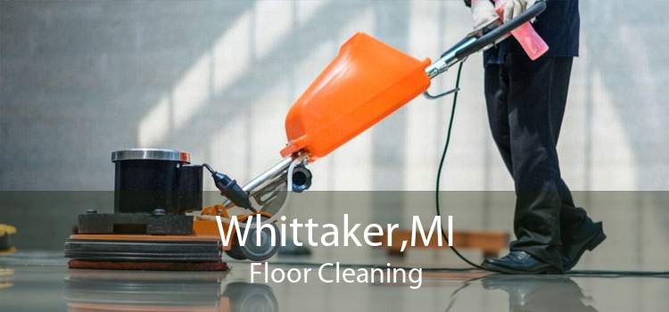 Whittaker,MI Floor Cleaning