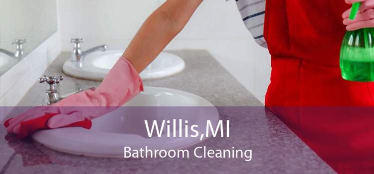 Willis,MI Bathroom Cleaning