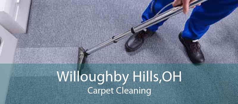 Willoughby Hills,OH Carpet Cleaning