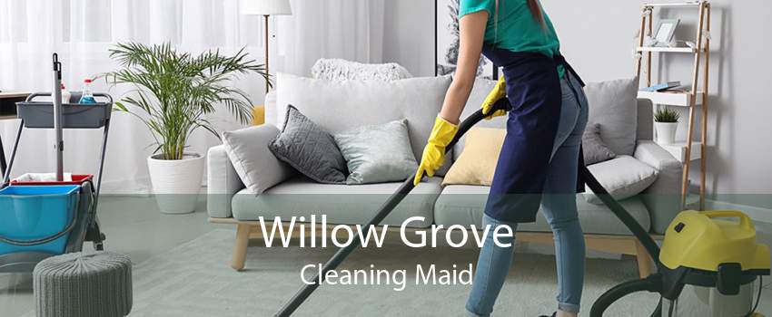 Willow Grove Cleaning Maid